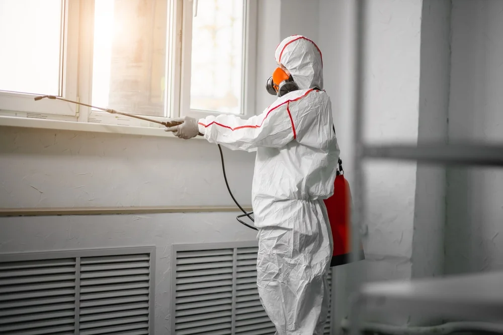 Professional mold remediation services in Gilchrist, TX